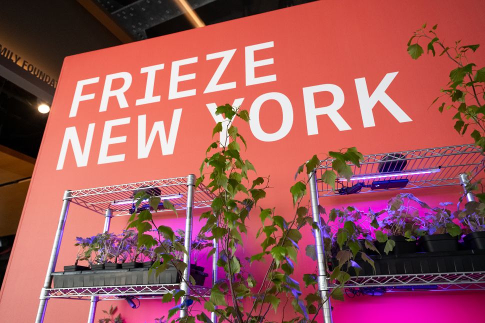 How Frieze New York Is Doubling Down On Engagement and Institutional Reach